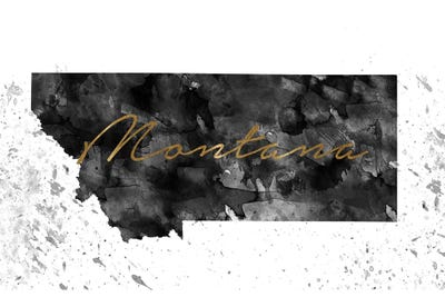 Montana Black And White Gold by WallDecorAddict canvas print