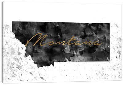 Montana Black And White Gold Canvas Art Print - Black, White & Gold Art