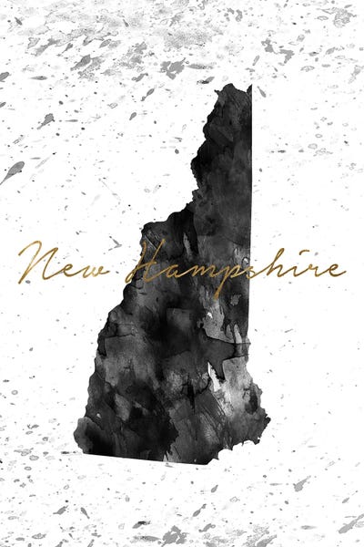 New Hampshire: New Hampshire Black And White Gold by WallDecorAddict