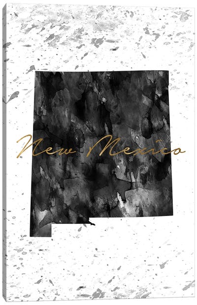 New Mexico Black And White Gold Canvas Art Print - New Mexico Art