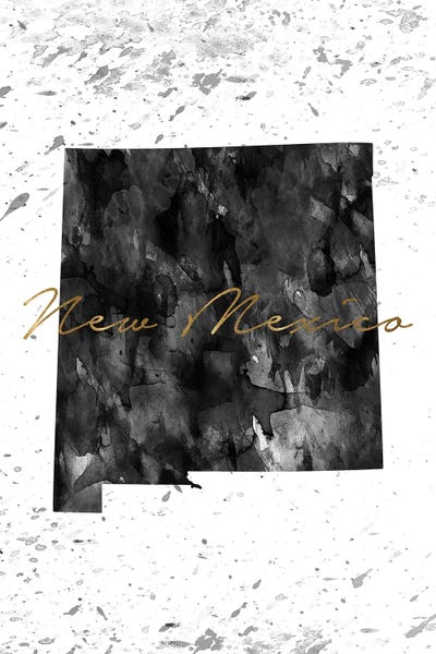 New Mexico: New Mexico Black And White Gold by WallDecorAddict