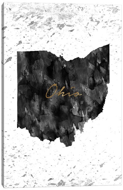 Ohio Black And White Gold Canvas Art Print - State Maps
