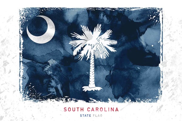 South Carolina: South Carolina by WallDecorAddict