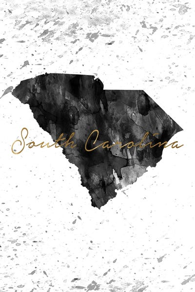 South Carolina: South Carolina Black And White Gold by WallDecorAddict