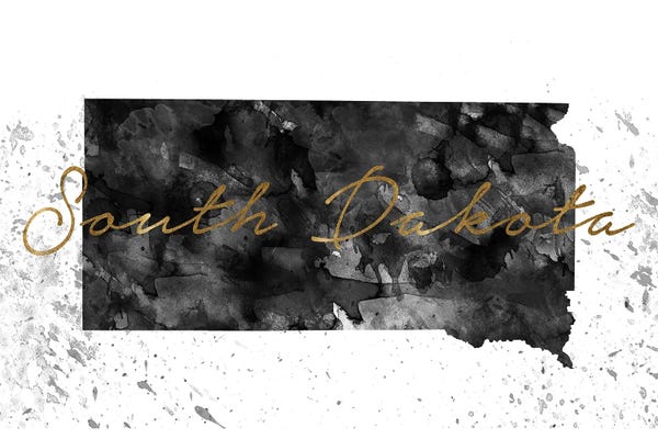 South Dakota: South Dakota Black And White Gold by WallDecorAddict