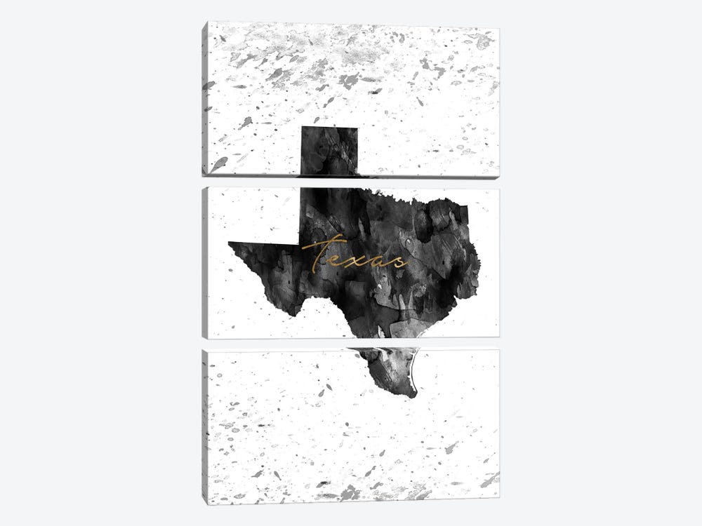 Texas Black And White Gold by WallDecorAddict 3-piece Canvas Art