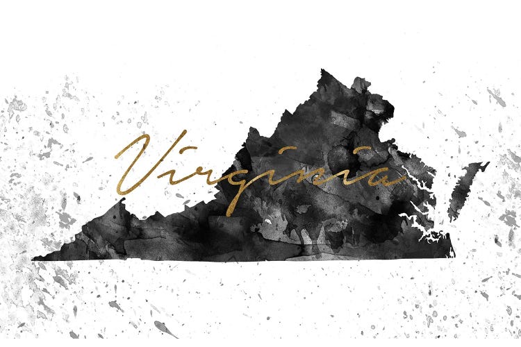 Virginia Black And White Gold by WallDecorAddict wall art