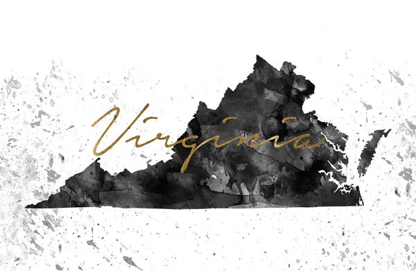 Virginia: Virginia Black And White Gold by WallDecorAddict