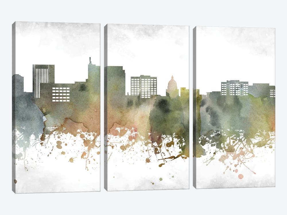 Boise Skyline by WallDecorAddict 3-piece Canvas Art Print