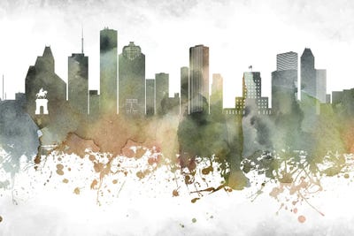 Houston Skylines