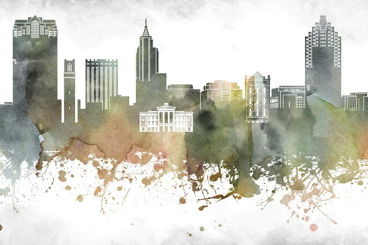 Raleigh Skyline