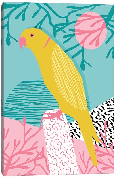 Birdbrain Canvas Art Print - Wacka Designs