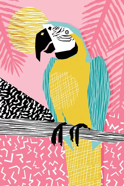 Parrots: Holy Moly by Wacka Designs