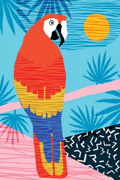 Parrots: Say What by Wacka Designs