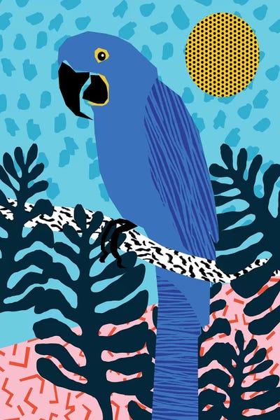 Parrots: Steaz by Wacka Designs