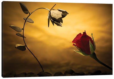 Opposites Attract Canvas Art Print - 1x Collection