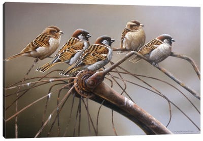 Birds On A Broken Bicycle Canvas Art Print - Jan Weenink