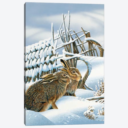 Bunnies In The Snow Canvas Print #WEE12} by Jan Weenink Art Print
