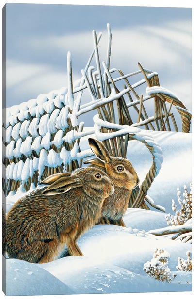 Bunnies In The Snow Canvas Art Print - Jan Weenink