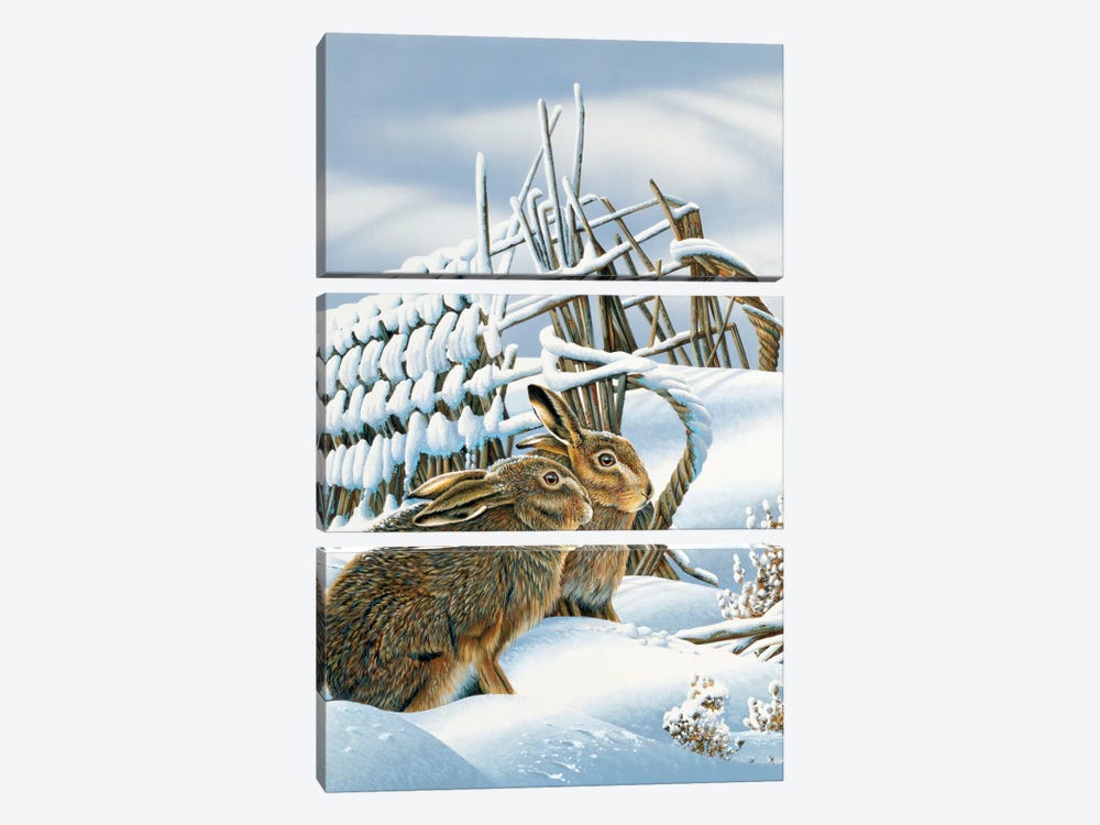 Bunnies In The Snow by Jan Weenink 3-piece Canvas Art Print