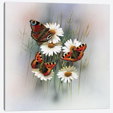 Butterflies Canvas Print #WEE13} by Jan Weenink Canvas Print