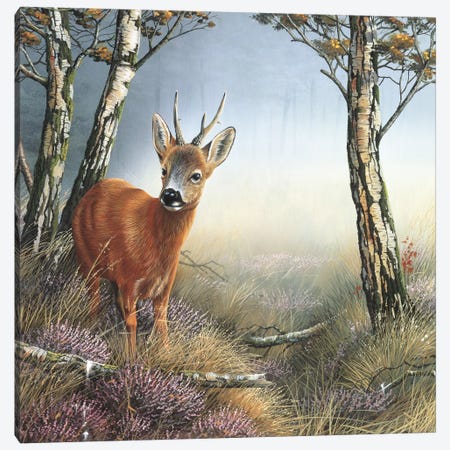 Deer In Forest Canvas Print #WEE16} by Jan Weenink Canvas Art