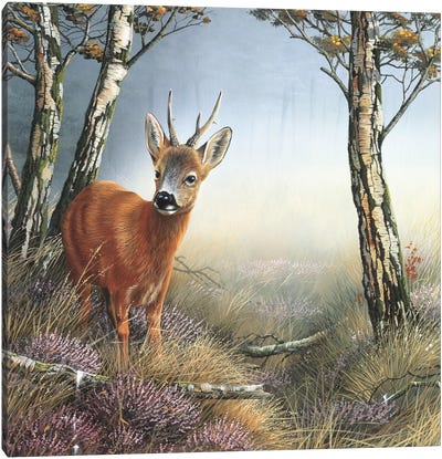 Deer In Forest Canvas Art Print - Jan Weenink