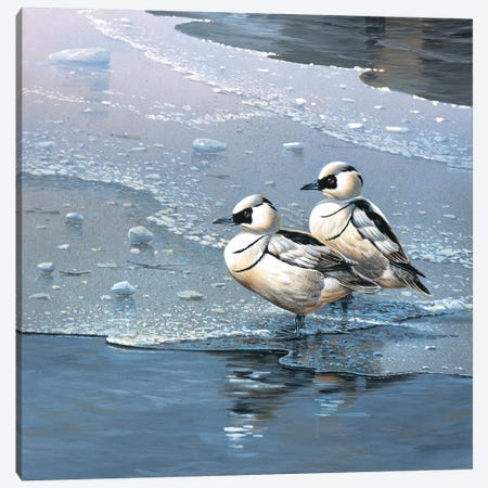 Ducks Canvas Print #WEE17} by Jan Weenink Canvas Wall Art