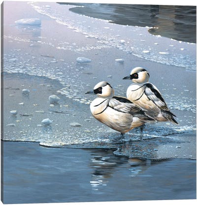 Ducks Canvas Art Print - Jan Weenink
