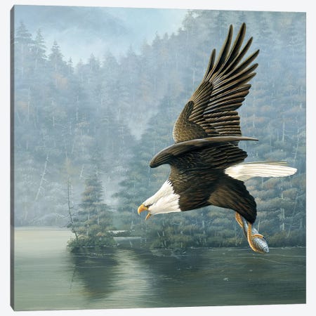Flying Eagle Canvas Print #WEE18} by Jan Weenink Art Print