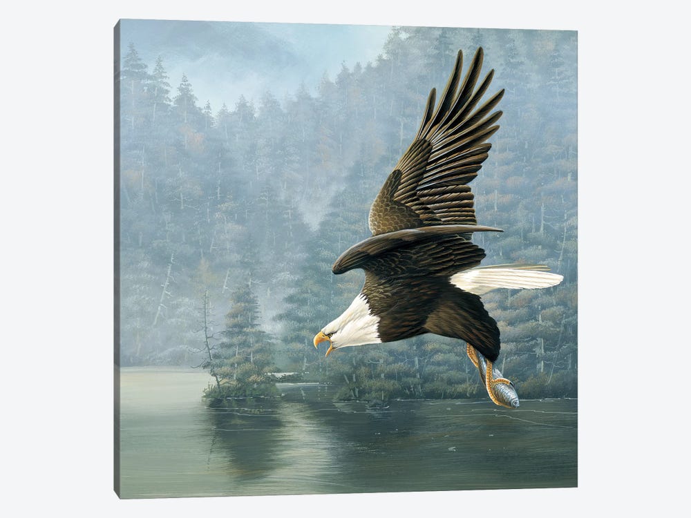 Flying Eagle by Jan Weenink 1-piece Canvas Art Print