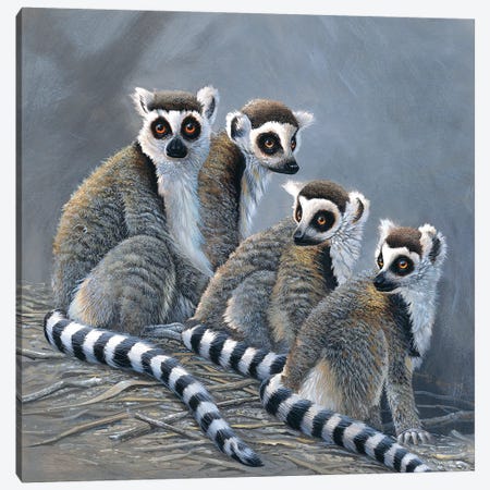 Four Monkeys Canvas Print #WEE19} by Jan Weenink Canvas Print