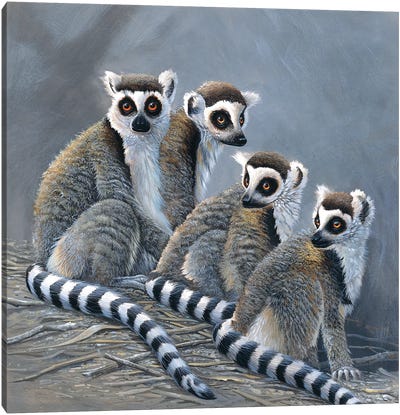 Four Monkeys Canvas Art Print - Lemur Art