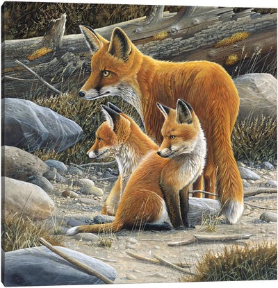 Fox Family Canvas Art Print - Jan Weenink