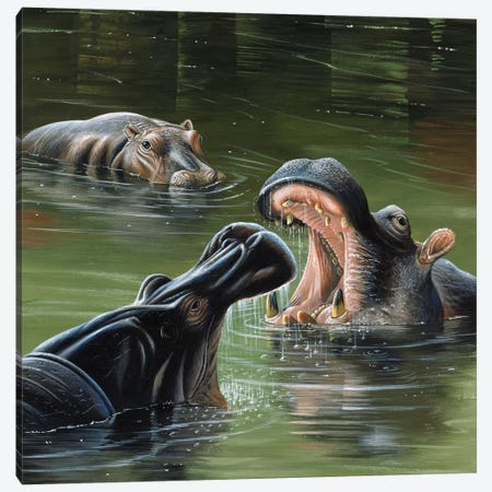 Hippos In Water Canvas Print #WEE23} by Jan Weenink Canvas Art