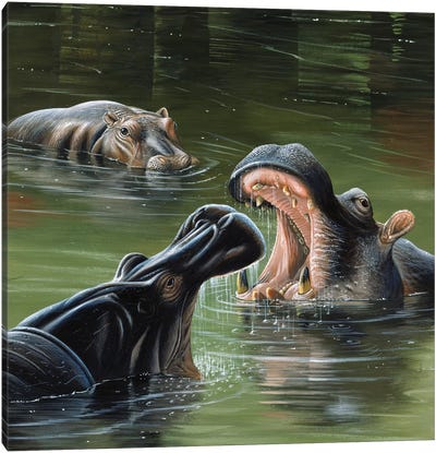 Hippos In Water Canvas Art Print - Jan Weenink