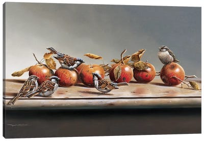 House Sparrows I Canvas Art Print
