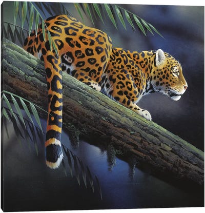 Jaguar In A Tree Canvas Art Print - Wild Cat Art