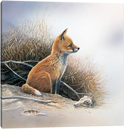 Little Fox Canvas Art Print - Jan Weenink