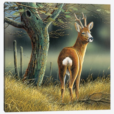 Reindeer Canvas Print #WEE35} by Jan Weenink Canvas Wall Art