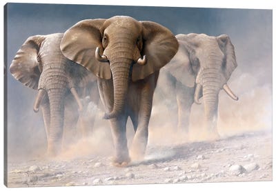 Running Elephants I Canvas Art Print - Jan Weenink