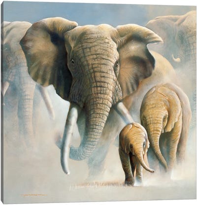 Running Elephants II Canvas Art Print - Jan Weenink
