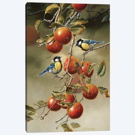 Two Birds In An Apple Tree Canvas Print #WEE42} by Jan Weenink Canvas Artwork