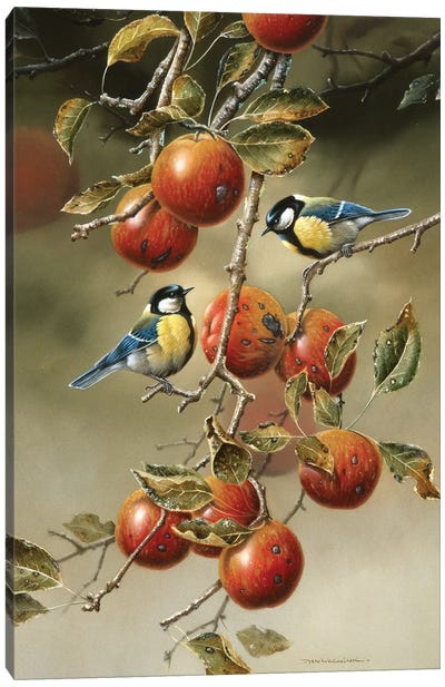 Two Birds In An Apple Tree Canvas Art Print - Apple Tree Art