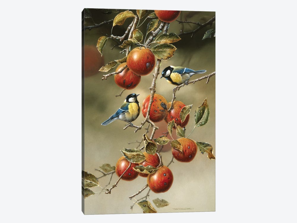 Two Birds In An Apple Tree by Jan Weenink 1-piece Canvas Artwork
