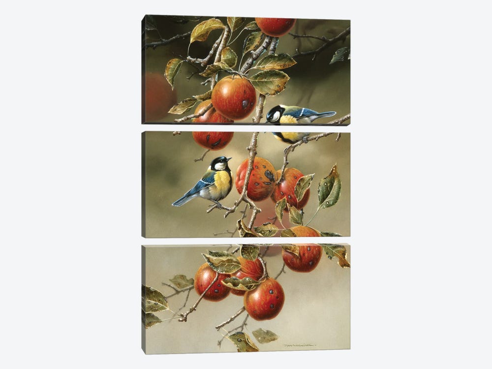 Two Birds In An Apple Tree 3-piece Canvas Artwork