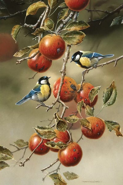 Apple Trees: Two Birds In An Apple Tree by Jan Weenink