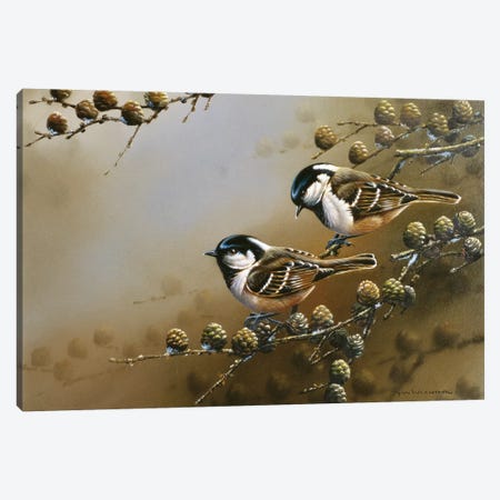Two Birds On A Branch Canvas Print #WEE43} by Jan Weenink Canvas Artwork