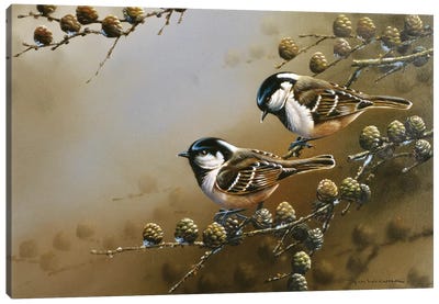 Two Birds On A Branch Canvas Art Print - Jan Weenink
