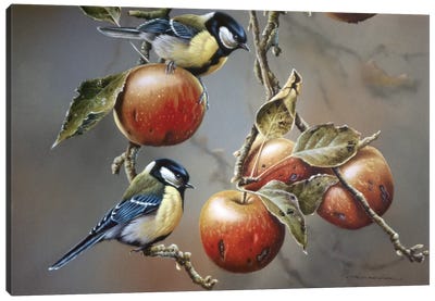 Two Birds With Apples Canvas Art Print